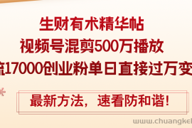 （12391期）精华帖视频号混剪500万播放引流17000创业粉，单日直接过万变现，最新方…