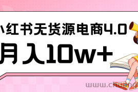 小红书新电商实战 无货源实操从0到1月入10w+ 联合抖音放大收益