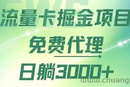 （12321期）流量卡掘金代理，日躺赚3000+，变现暴力，多种推广途径