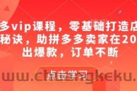 拼多多vip课程，零基础打造店铺的核心秘诀，助拼多多卖家在2025卖出爆款，订单不断