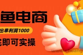 （14893期）闲鱼高利润电商，入门到出单只需3小时，每天利润1000