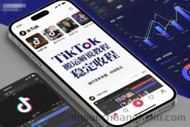 TikTok搬运解说教程，稳定收益，操作简单易懂，批量可做，持续稳定