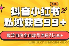 （13421期）某音，小红书，野路子引流玩法截流自热一体化日引200+精准粉 单日变现3…