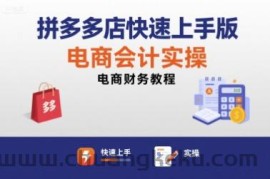 拼多多店快速上手版电商会计实操-电商财务教程