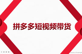 （3754期）2022风口红利期-拼多多短视频带货，适合新手小白的入门短视频教程