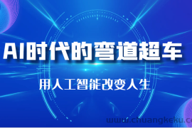 AI时代的弯道超车：用人工智能改变人生（29节课）