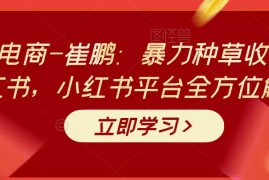 老高电商-崔鹏：暴力种草收割机小红书，小红书平台全方位解析