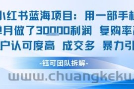 小红书蓝海项目，一部手机单月做了3W利润，小白也能月入过1W用户认可度高成交多