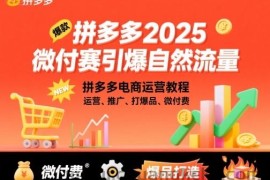 拼多多2025微付费引爆自然流量，拼多多电商运营教程，运营、推广、打爆品、微付费（更新）