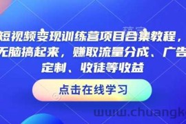 AI短视频变现训练营项目合集教程，直接无脑搞起来，赚取流量分成、广告、定制、收徒等收益