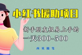 （6026期）一天300-500！新手朋友极易上手的《小红书援助项目》，绝对值得大家一试