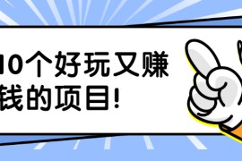 （1910期）副业拉新搬砖月入1W+照片换脸软件好玩涨粉+一个月入10个W机会（10个项目）