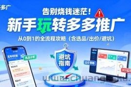 告别烧钱迷茫！新手玩转多多推广：从0到1的全流程攻略（含选品/出价/避坑）