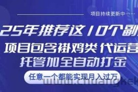 25年推荐这10个副业项目包含褂鸡类、代运营托管类、全自动打金类【揭秘】