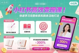 小红书高效变现课，快速学习小红书完整体系和具体落地打法