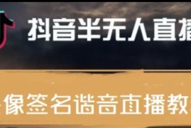 （3913期）最近火爆的抖音头像签名设计半无人直播直播项目：直播教程+素材+直播话术