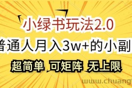 （12374期）小绿书玩法2.0，超简单，普通人月入3w+的小副业，可批量放大