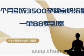 十万个富翁修炼宝典之13.2个月引流3500孕婴宝妈流量，一单88卖到爆