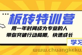 板砖特训营，用一年时间成为专业的人，带你突破行动局限，快速成长