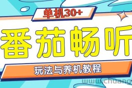 （13571期）番茄畅听全方位教程与玩法：一天单设备日入30+不是问题