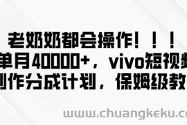 老奶奶都会操作，新平台无脑操作，单月40000+，vivo短视频创作分成计划【揭秘】