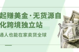 （2432期）一起赚美金·无货源自动化跨境独立站 普通人也能卖货全球【无提供插件】