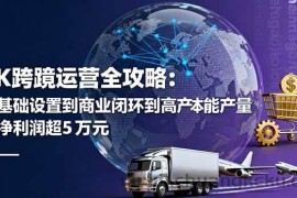 （16179期）TK跨境运营全攻略：从基础设置到商业闭环到低成本量产，月净利润超5万美元