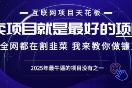 （13662期）2025年普通人如何通过“知识付费”卖项目年入“百万”镰刀训练营超级IP…