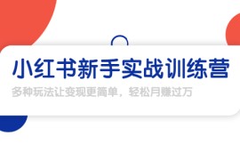 （1650期）龟课·小红书新手实战训练营：多种变现玩法，轻松玩转小红书月赚过万