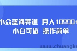 小众蓝海赛道，小白可做，操作简单，每天30分钟，月入1W+