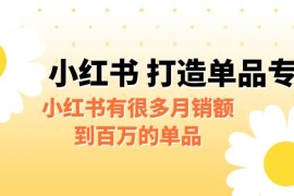 （6541期）某公众号付费文章《小红书 打造单品专家》小红书有很多月销额到百万的单品