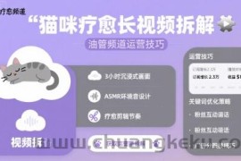 猫咪疗愈长视频拆解 &amp;油管频道运营技巧