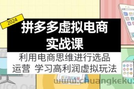 （12025期）拼多多虚拟电商实战课：虚拟资源选品+运营，高利润虚拟玩法（更新14节）