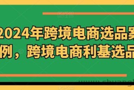 2024年跨境电商选品案例，跨境电商利基选品（更新）