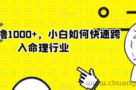 玄学狂撸1000+，小白如何快速跨入命理行业【揭秘】