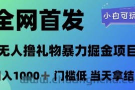 全网首发，无人直播撸礼物暴力掘金项目，小白可玩，日入1k+ 门槛低，当天拿结果【揭秘】