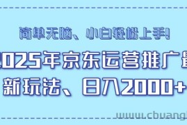 （14179期）25年京东运营推广最新玩法，日入2000+，小白轻松上手！