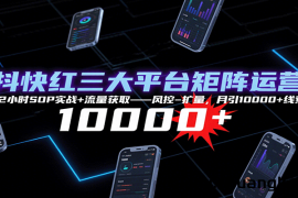 抖快红三大平台矩阵运营，12小时SOP实战+流量获取-风控-扩量，月引10000+线索