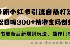 （13145期）最新小红书引流自热打法，轻松日吸300+精准宝妈创业粉，小红书更新后新…