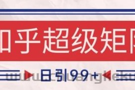 知乎超级矩阵玩法引流高质量精准粉SEO覆盖，日变现1k+【揭秘】