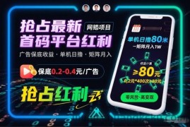 抢占最新首码平台红利，每个广告保底0.2-0.4，单机日撸80米，矩阵操作月入1W【揭秘】