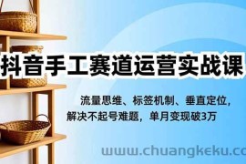（16667期）抖音手工赛道运营实战课，流量思维、标签机制、垂直定位，解决不起号难题，单月变现破3万
