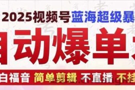 2025视频号蓝海超级暴利自动爆单术1.0 ，小白褔音 简单剪辑 不直播 不挂车