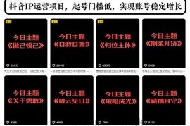 抖音IP运营项目，抖音今日主题玩法，起号门槛低，实现账号稳定增长