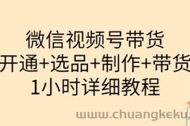 （3515期）陈奶爸·微信视频号带货：开通+选品+制作+带货（1小时详细教程）