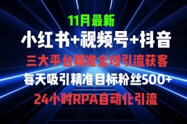 （13259期）全域多平台引流私域打法，小红书，视频号，抖音全自动获客，截流自…