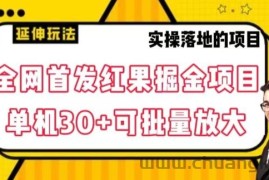 全网首发红果免费短剧掘金项目，单机30+可批量放大【揭秘】