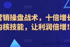 新营销操盘战术，十倍增长的内核技能，让利润倍增！