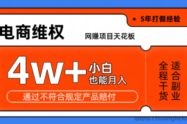 网赚项目天花板电商购物维权月收入稳定4w+独家玩法小白也能上手