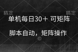 （10100期）单机每日30＋ 可矩阵，脚本自动 稳定躺赚